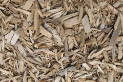 biomass boilers Higher Shurlach